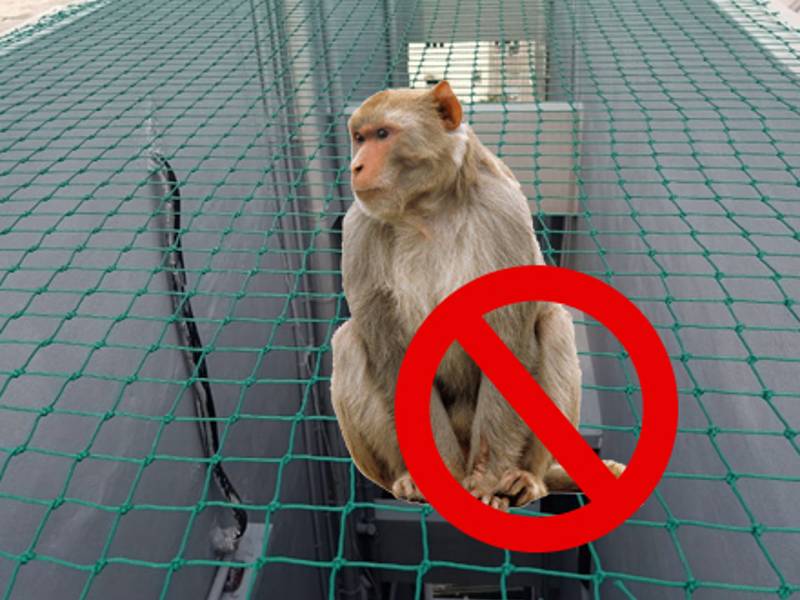 Monkey Safety Nets in Hyderabad | Call 9955519997 for Best Price