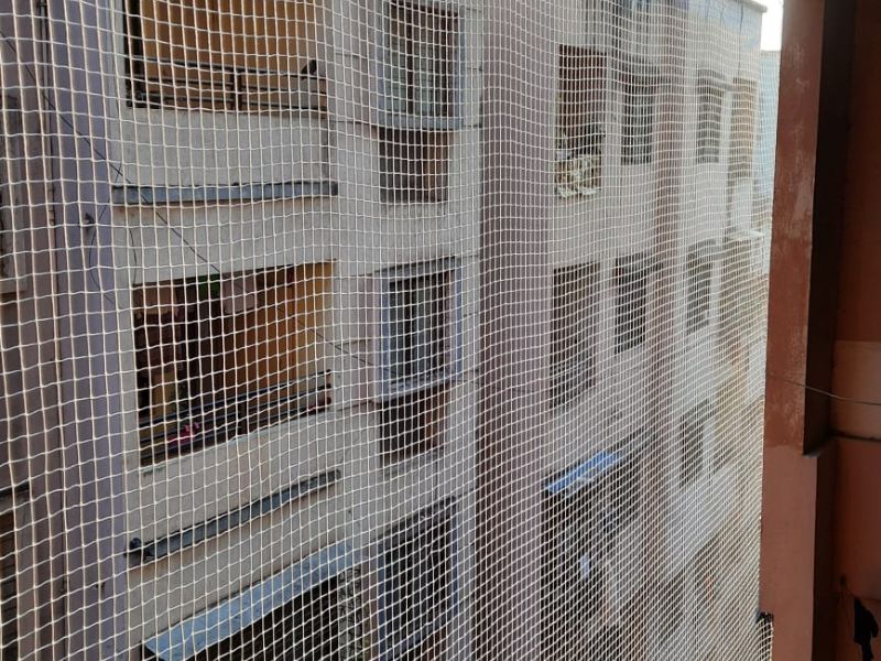 Pigeon Safety Nets in Hyderabad,